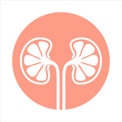 Sign human kidneys. Icon kidneys in rose circle isolated on white background. Vector illustration 