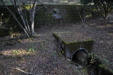 秋の公園　落ち葉　