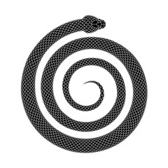 Vector tattoo design of Snake coiled in a spiral shape. - 233506732