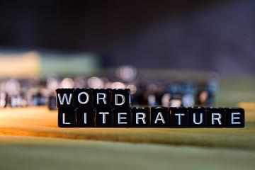 WORD LITERATURE concept wooden blocks on the table. With personal development, education and motivation concept on blurred background