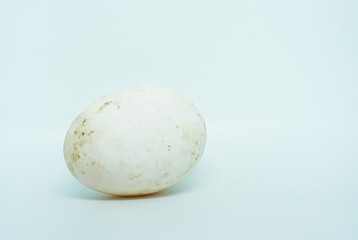 Dirty duck egg on white background