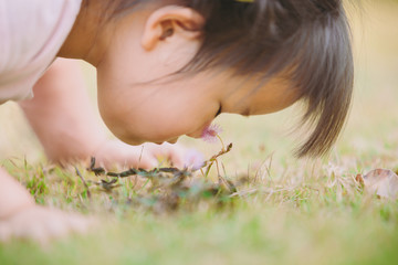 Obraz na płótnie Canvas Asian kid exploring natural environment in the flower garden. Outdoor activity like play, touch and see the real things is the best learning method for children.