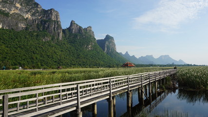 Obraz premium bridge over the river