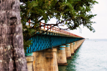 Along the floria keys