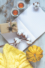 Top view composition with pumpkin, cotton plant flower branches, notepad and copy space.