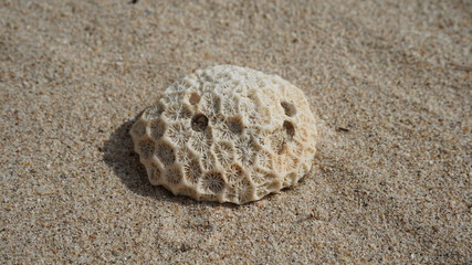 stone in sand