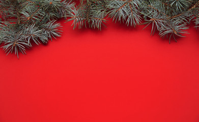 Pine's branches on red background.
