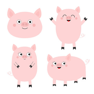 Pig piglet set. Cute cartoon funny baby character. Hog swine sow animal. Chinise symbol of 2019 new year. Zodiac sign. Flat design. White background. Isolated.