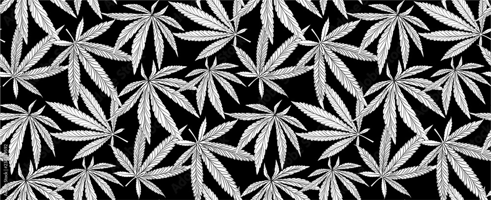 Wall mural Cannabis Leaves Seamless Background. Marijuana Pattern