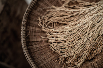 Thai rice paddy on wickerwork