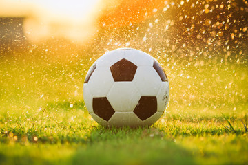 Fototapeta premium A ball on the green grass field for soccer football game under the sunset ray light and rain. Picture with space area.