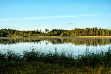 Beautiful view across a lake with still water surrounded by a green forest