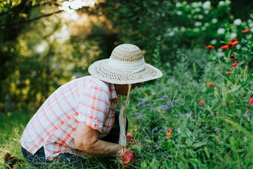 Senior woman tending to her garden