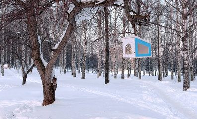 Wooden bird feeder on the tree in the winter forest Park.