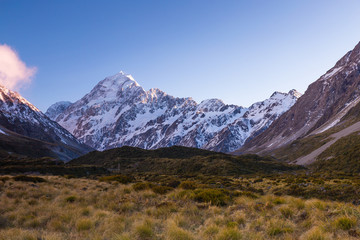Aoraki Mount Cook during the dawn with the golden grass as a foreground, Canterbury, New Zealand
