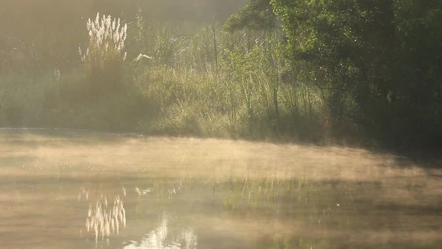 Calm morning by the lake with lower hanging fog on the water surface