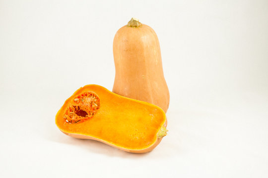 Dynia piżmowa