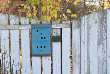 fencing of boards with peeling white paint, a fence for a private house