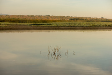 Reflections of the branches in the river in daimiel tables