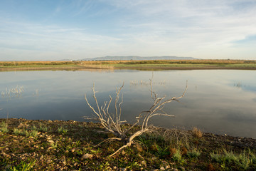 The Guadiana river next to the tables of daimiel
