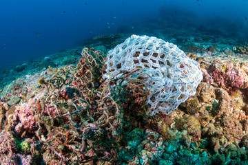 Fototapeta na wymiar A ghost fishing net tangled on hard corals on a tropical reef