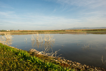 The Guadiana river next to the tables of daimiel
