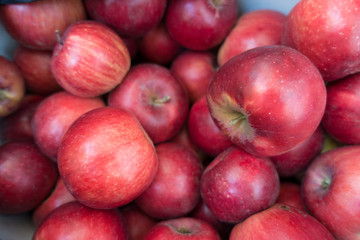 Fototapeta na wymiar Jonathan apples - ripe, red, sweet, medium sized