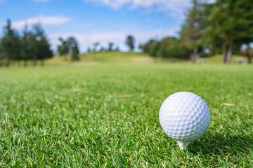 ゴルフボール ティーアップ