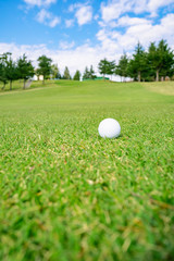 ゴルフ場 フェアウェイ ゴルフボール