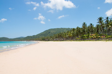Fototapeta na wymiar Picturesque view of the beach