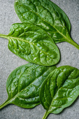 Top view of green and fresh picked spinach leaves on grey background