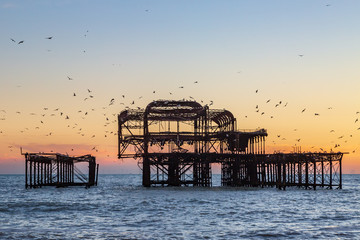 Birds flocking round Brighton's old West Pier at sunset