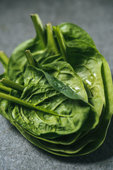 Wet organic spinach leaves with water drops on grey background