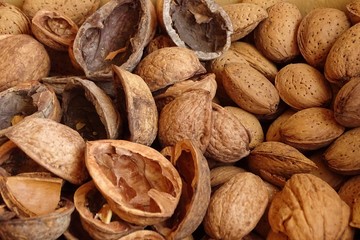 walnut shells, nuts and almonds close up
