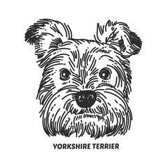 Yorkshire terrier face. Dog head sketch style. Vector illustration