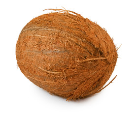 isolated image of coconut close up