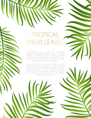 Palm leaves vector background.