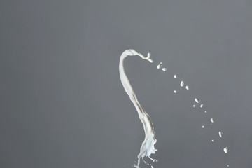 Fototapeta premium Splash of milk on grey background