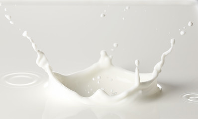 Splash of milk on white background