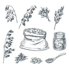 Oats cereal ears, grain in sack and porridge in glass jar. Vector sketch illustration. Hand drawn design elements