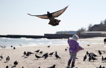 birds flying at the beatiful sandy beachside full of graffity near the black sea, odessa