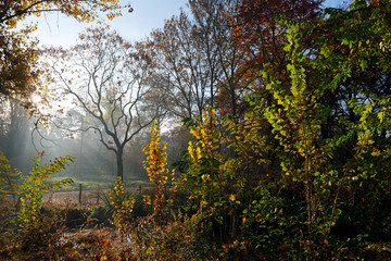 The Bois de Vincennes wood in Paris