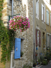 Fototapeta na wymiar angle flowery in Provence