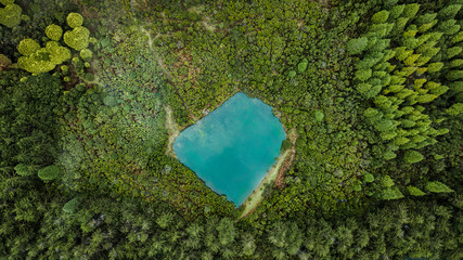 Aerial drone view of natural pond surrounded by pine forest in Madeira island, Portugal.