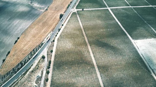 Aerial down view of a motorway and vineyards in Andalusia, Spain