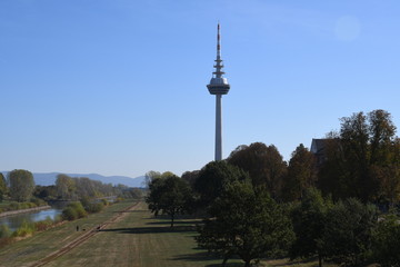 turm mannheim stadt