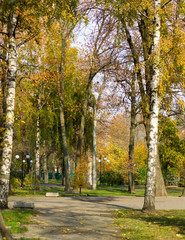 image of autumn park