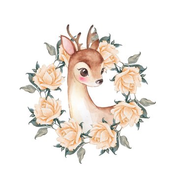 Baby Deer and roses. Cute fawn. Watercolor
