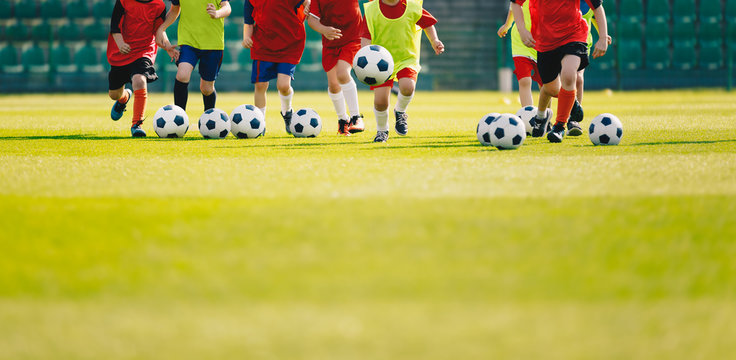 Children play soccer at grass sports field. Football training for kids.  Children running and kicking soccer balls at soccer pitch. Soccer background with copy space on the bottom