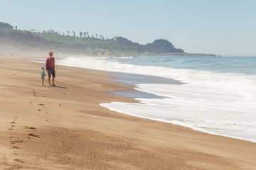 Father and son looking at sea waves on the beach